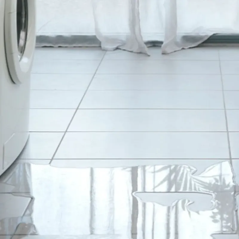 Appliance Leak Cleanup in Titusville, FL