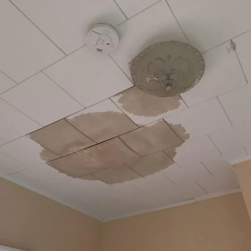 Ceiling Water Damage Repair in Titusville, FL